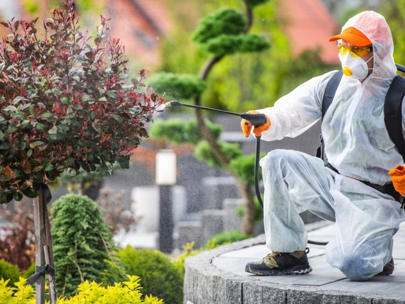 Güzelbahçe Haşere İlaçlama